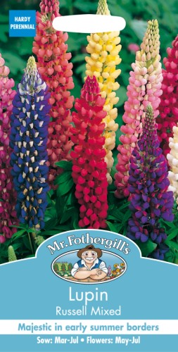 Lupin Tall Russell Mix Seeds